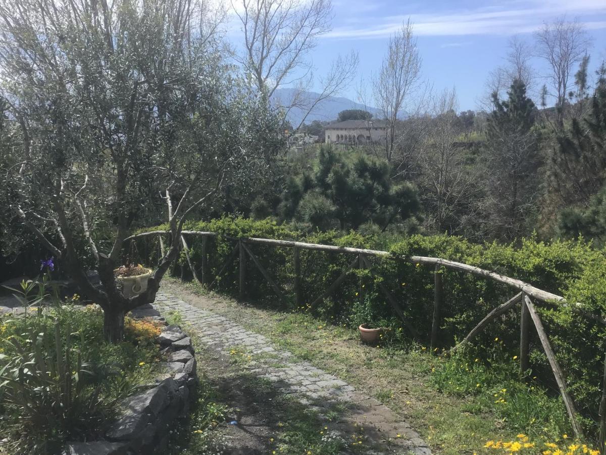 Tenuta Terradifuoco Terzigno Eksteriør bilde